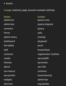 Booster Sweeper - Assets discoverd list