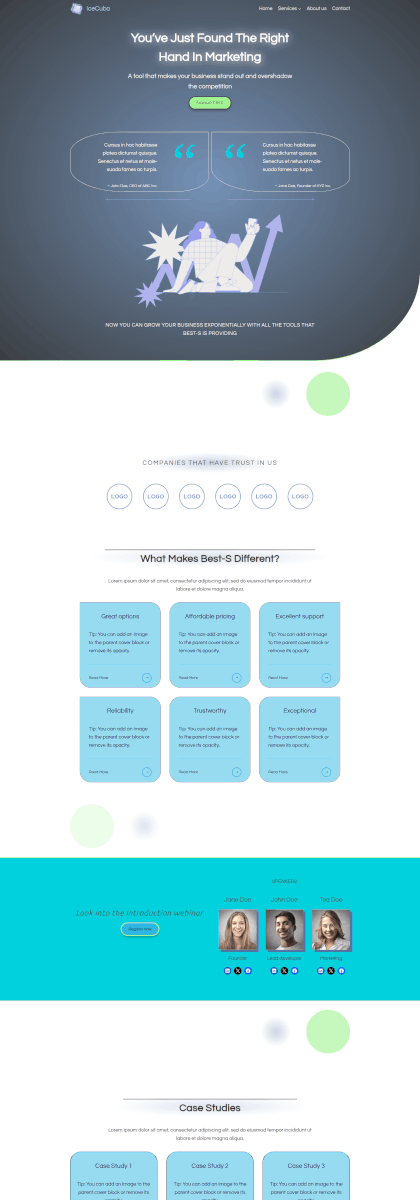 IceCubo theme - Front page template - Marketing Suit 2